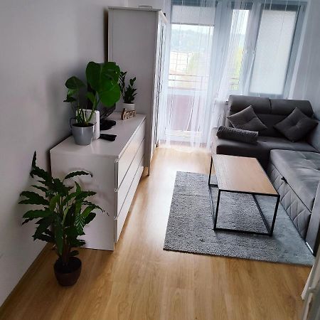 Apartament Sweet Dreams Daire Sanok Dış mekan fotoğraf